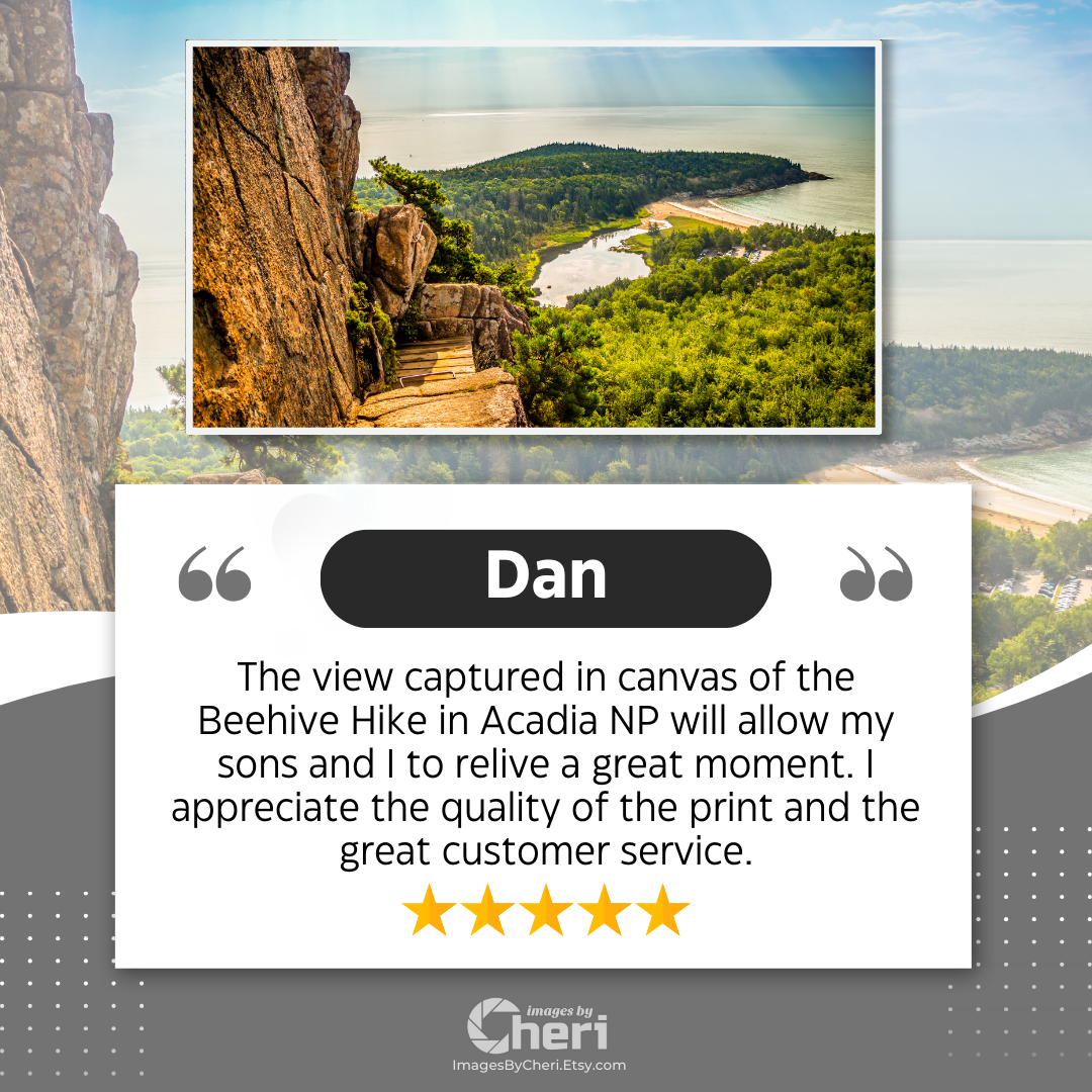 Dan - 5 Star Rating - Customer Review