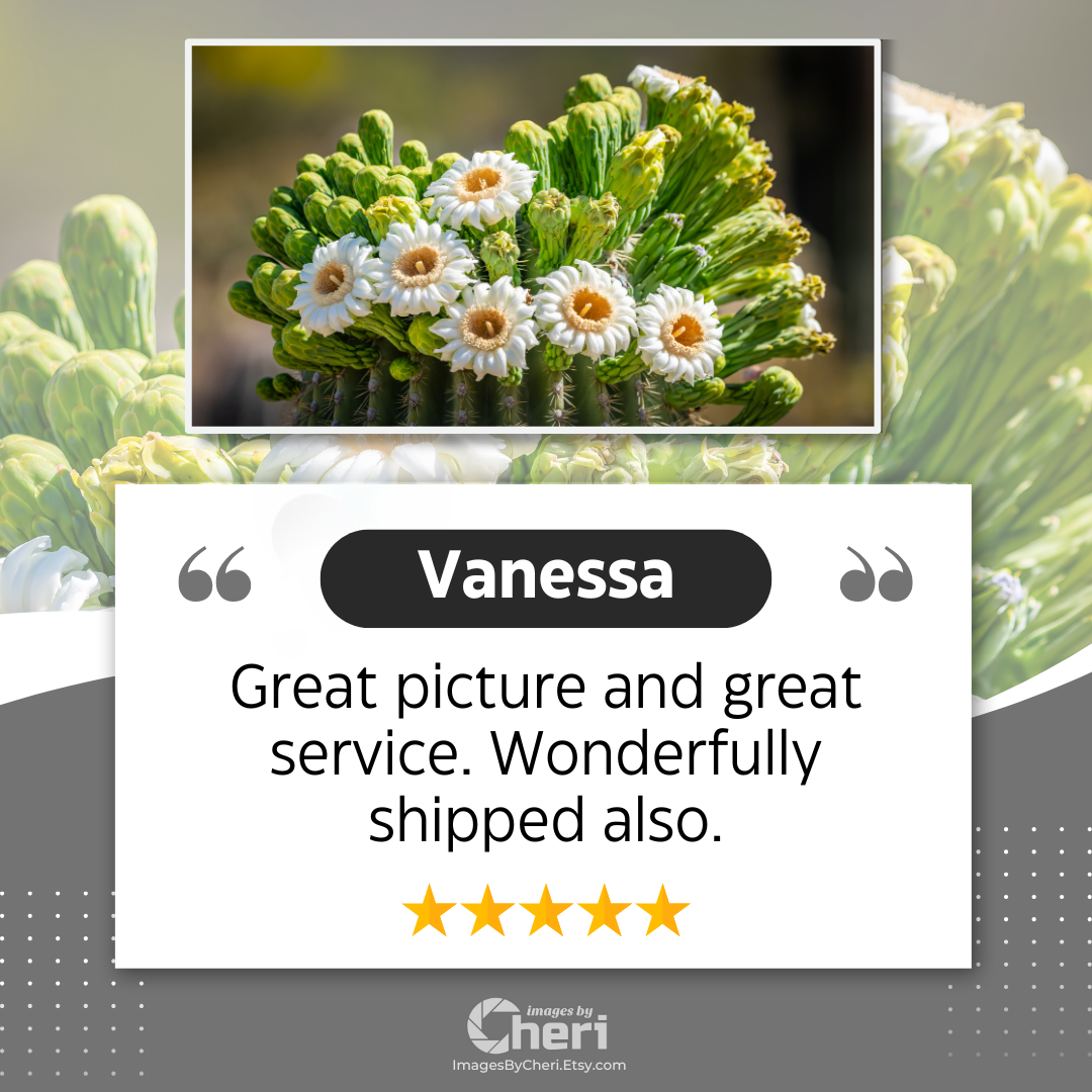 Vanessa - 5 Star Rating - Customer Review