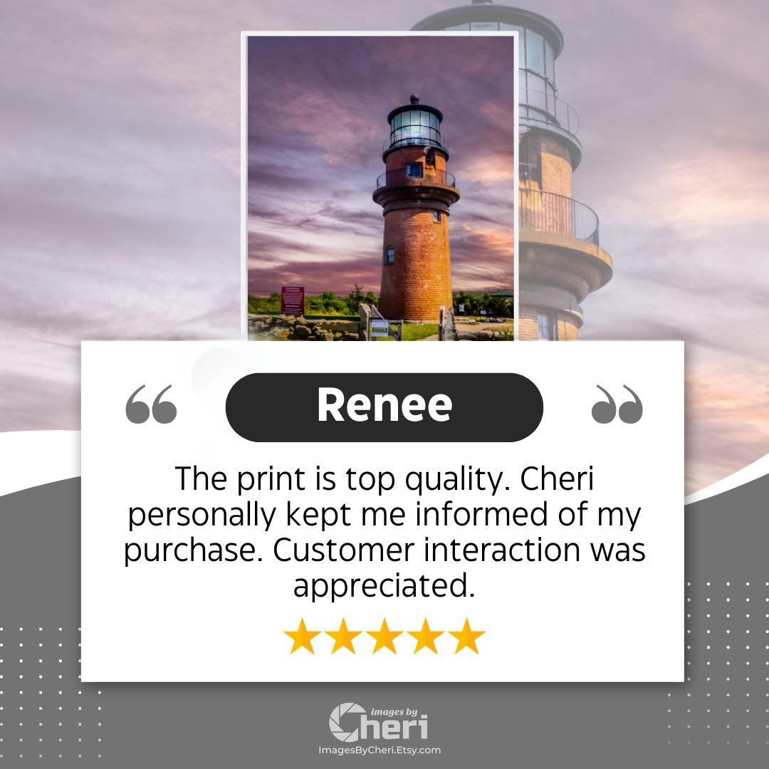 Renee - 5 Star Rating - Customer Review
