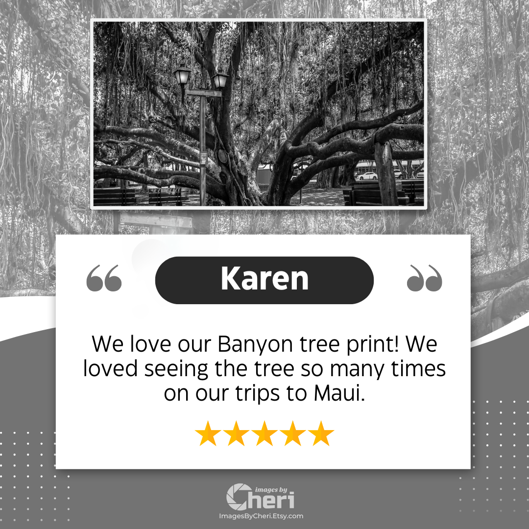Karen - 5 Star Rating - Customer Review