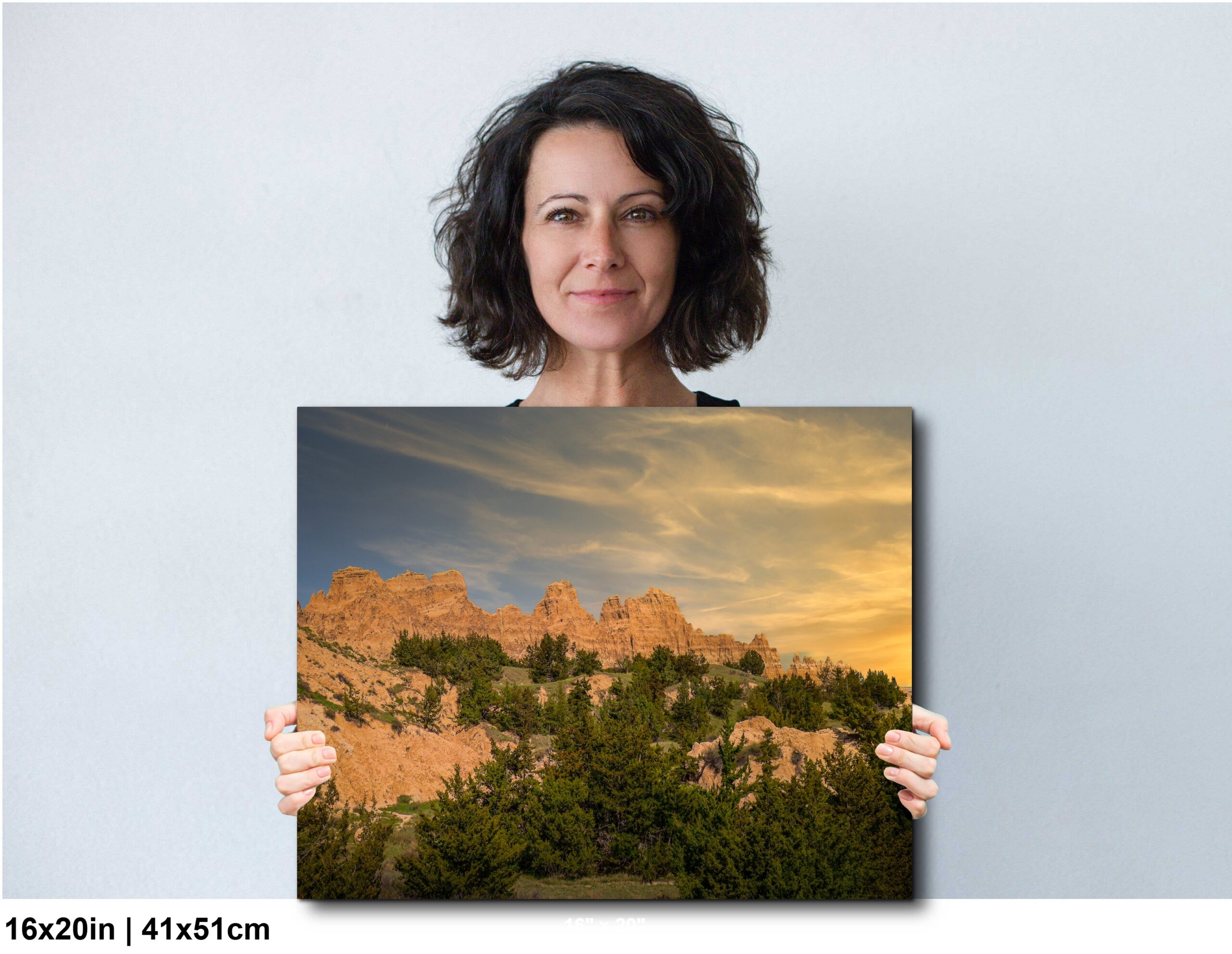 Badlands National Park, Golden Rock Formations and Pine Groves Diagram