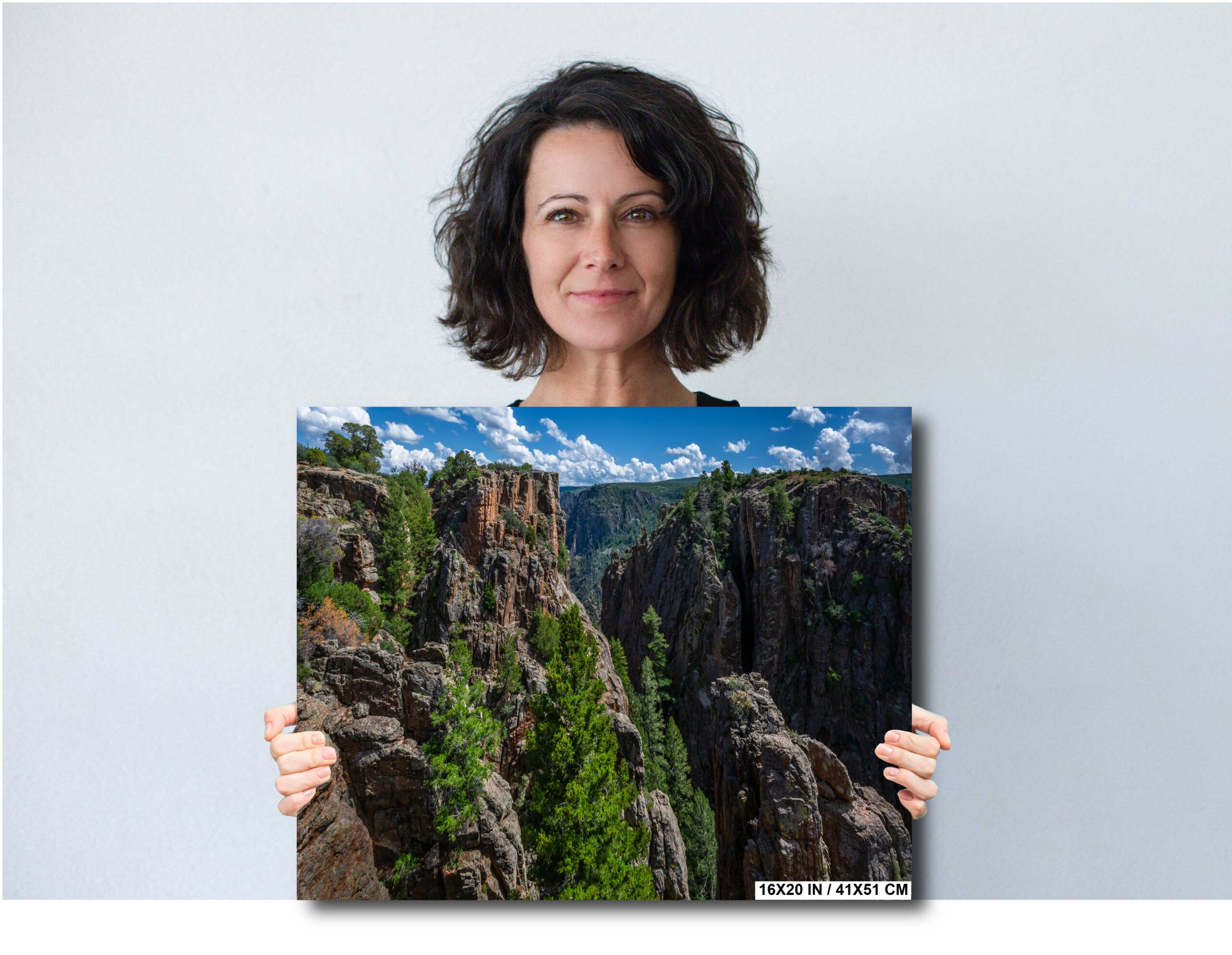 Between Cliffs and Pines: Black Canyon of the Gunnison National Park, Colorado Diagram