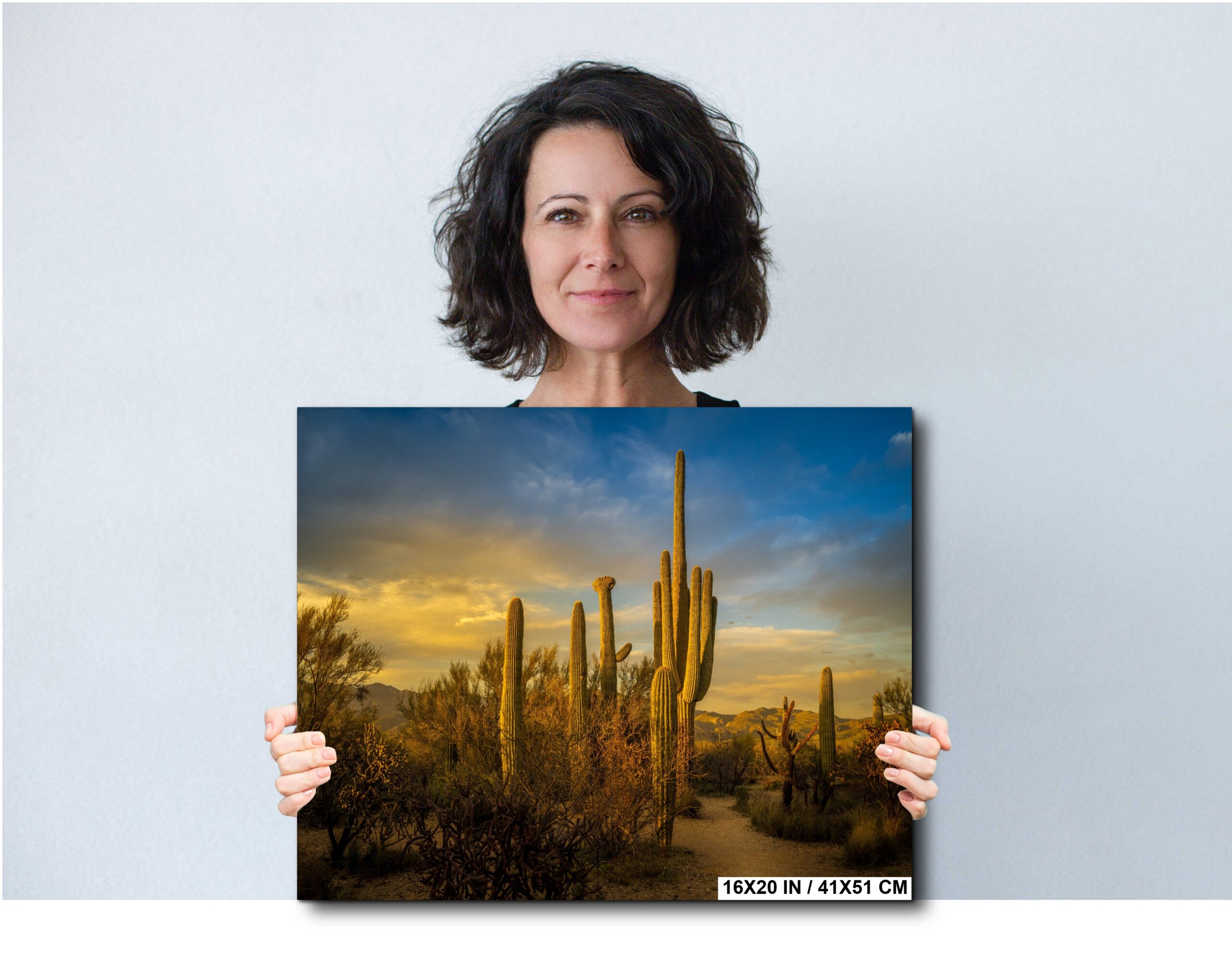 Saguaro National Park Golden Hour Saguaro Cactus Sunset Diagram