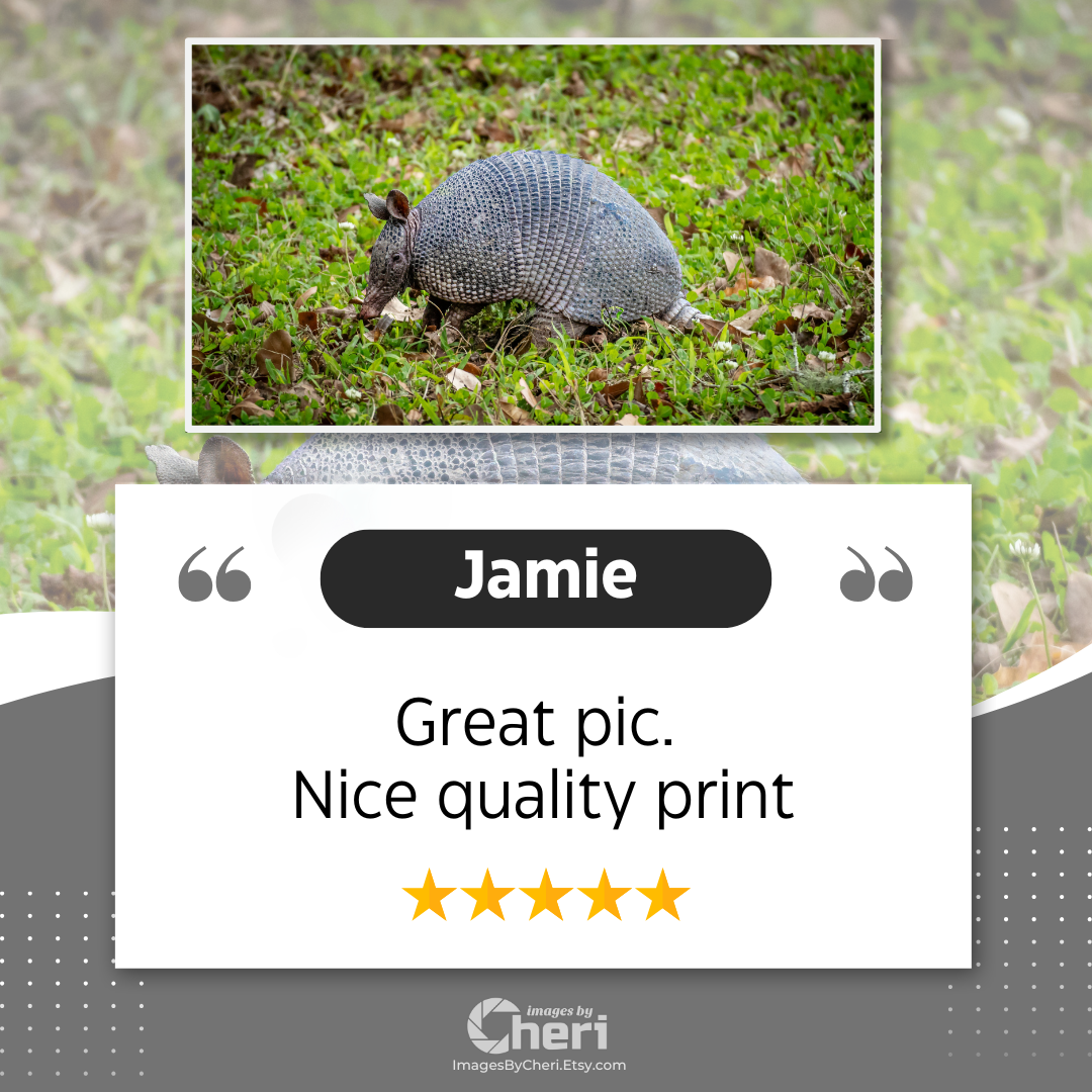 Jamie - 5 Star Rating - Customer Review