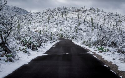 Snowy Cactus-lined Arizona Road: Saguaro National Park Tucson