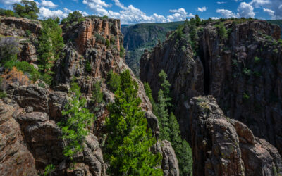 Between Cliffs and Pines: Black Canyon of the Gunnison National Park, Colorado