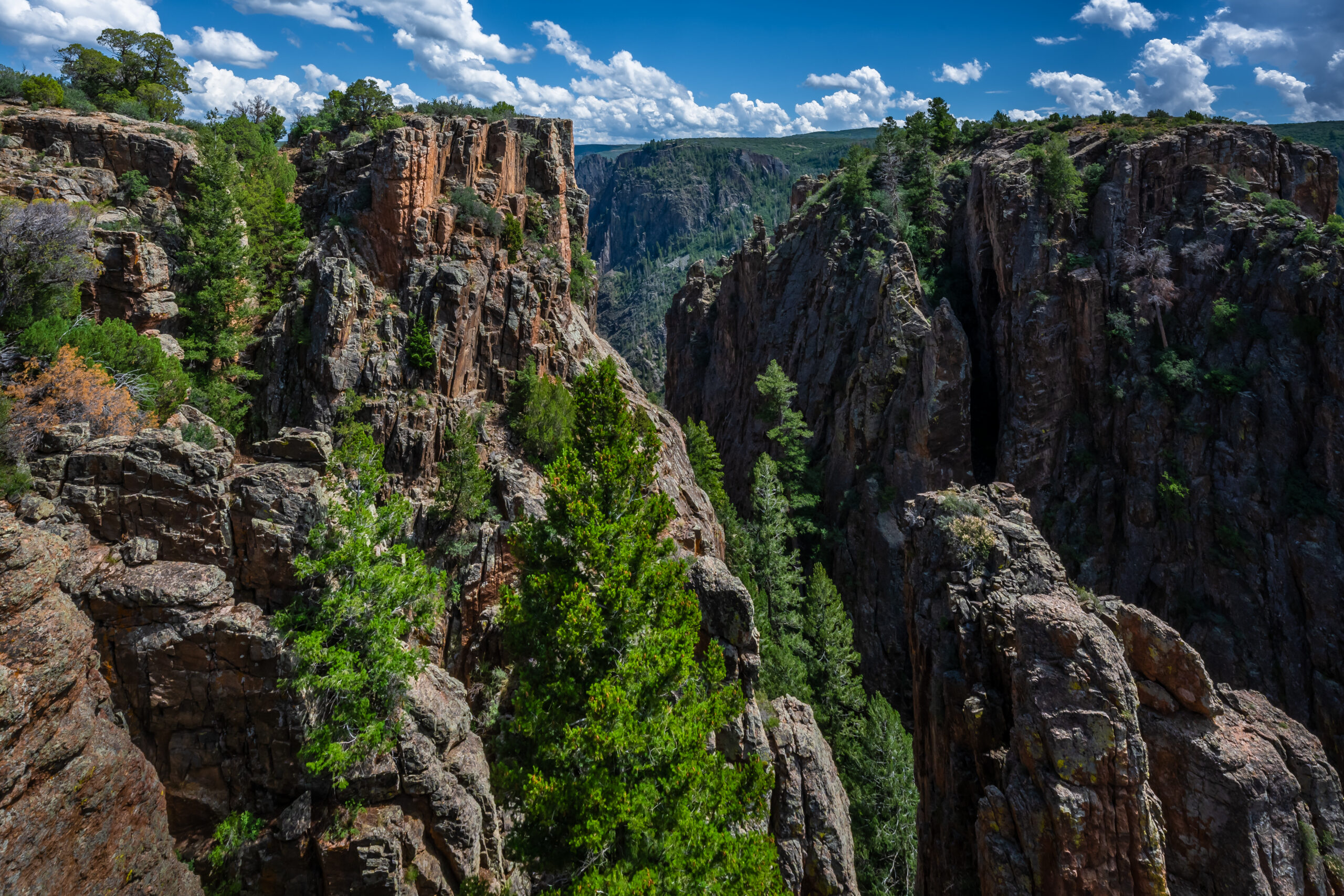 Between Cliffs and Pines: Black Canyon of the Gunnison National Park, Colorado