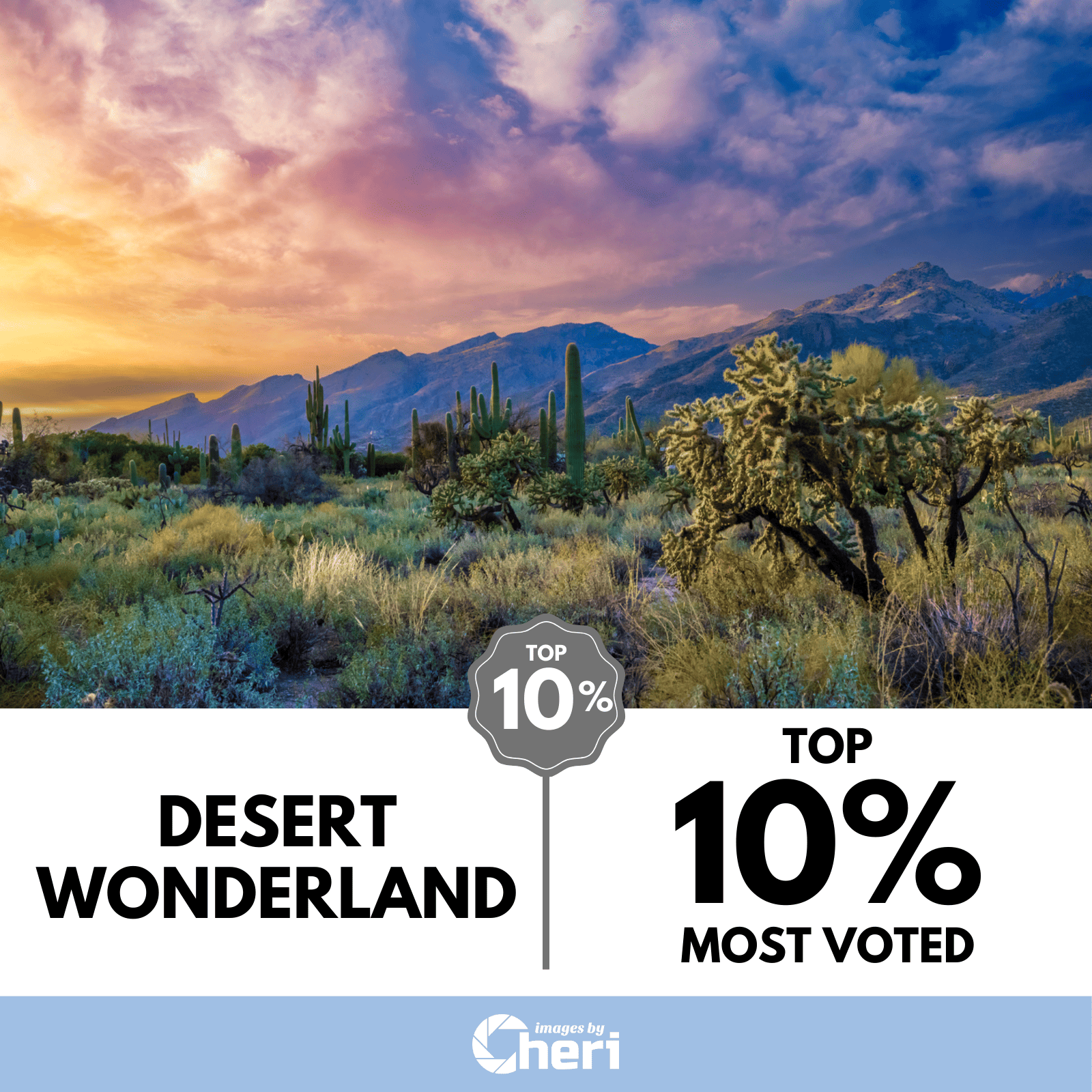 Desert Wonderland - Top 10% most voted in Viewbug's ‘Creative Landscapes’ Photo Contest