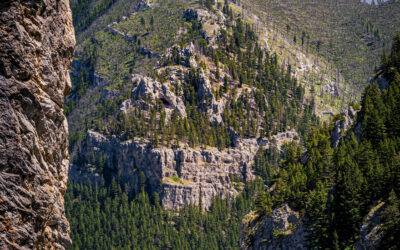 Montana’s Rocky Shoreline: Gates of the Mountains Wilderness