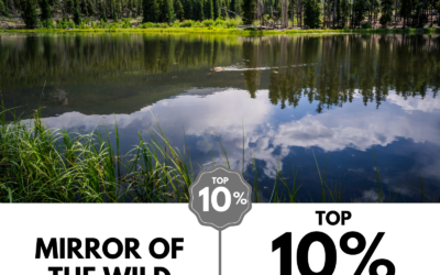 Viewbug.com: Top 10% Most Voted in ‘Image of the Month’ Photo Contest