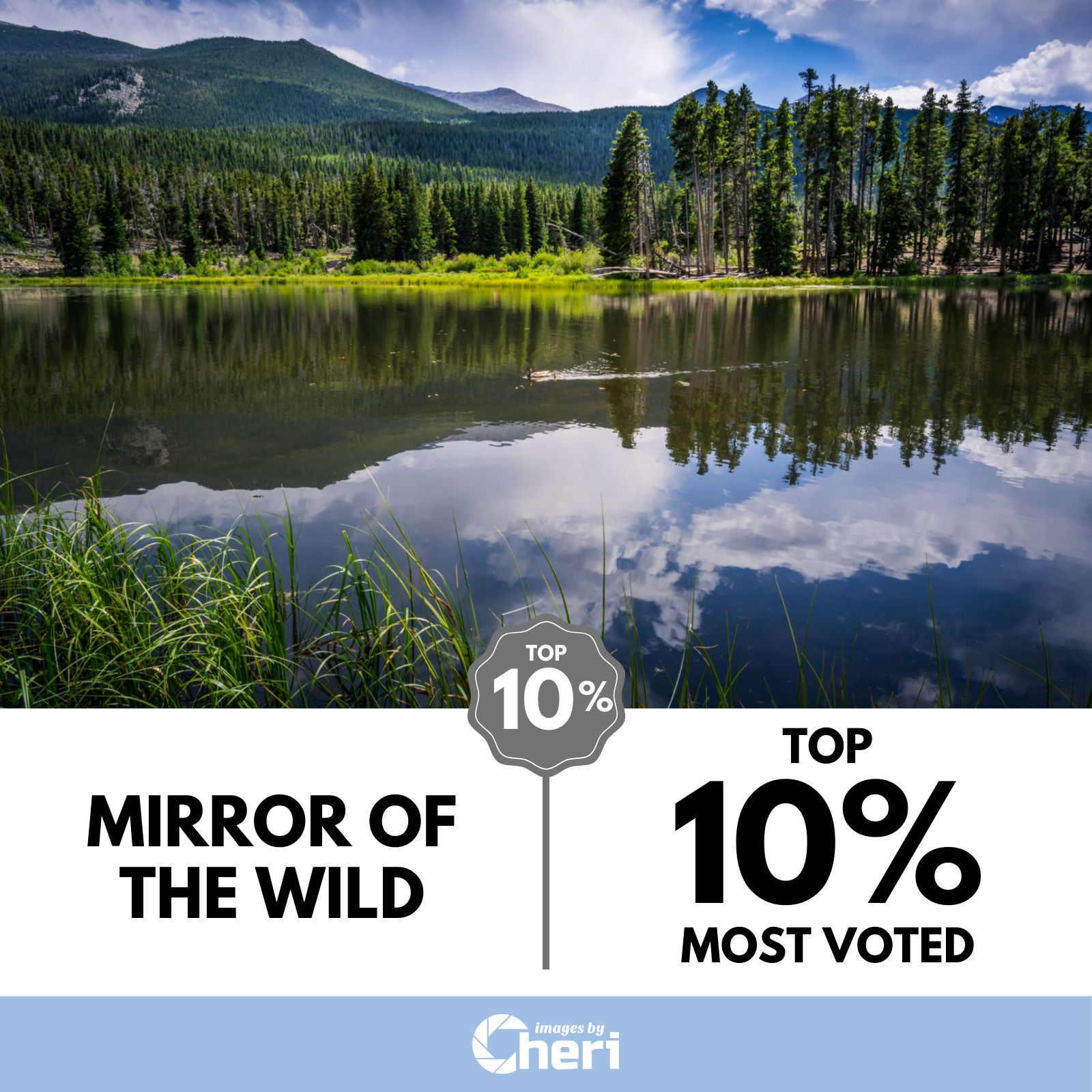 Mirror of the Wild - Top 10% most voted in Viewbug's ‘Image of the Month' Photo Contest