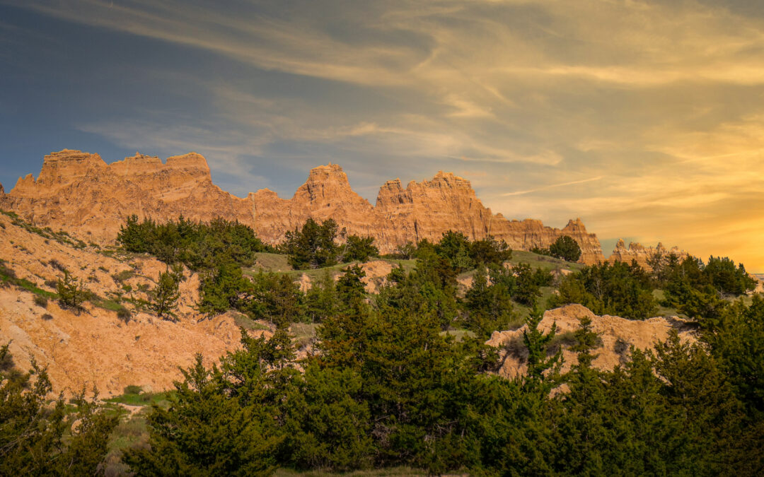Badlands National Park, Golden Rock Formations and Pine Groves