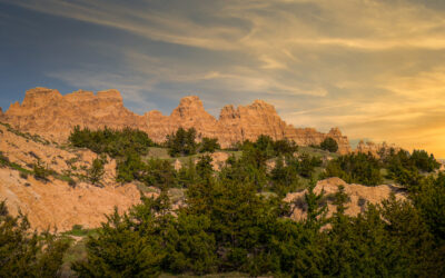 Badlands National Park, Golden Rock Formations and Pine Groves