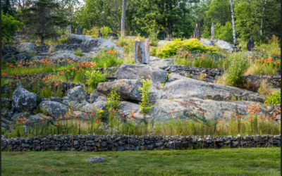 Voyageurs National Park Ellsworth Floral Gardens in Bloom Home Decor