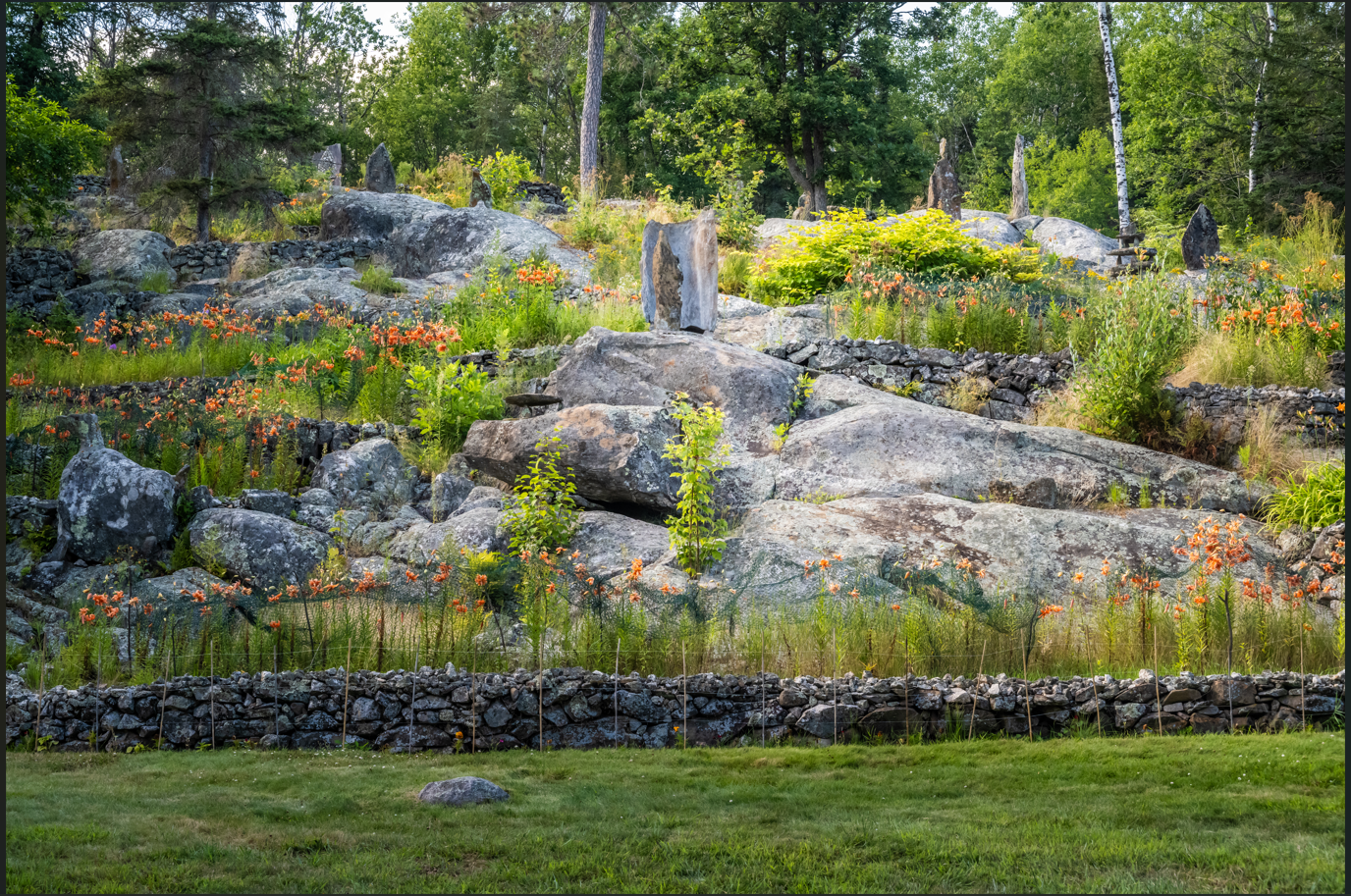 Voyageurs National Park Ellsworth Floral Gardens in Bloom Home Decor