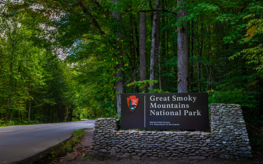 Great Smoky Mountains National Park Entrance Sign and Forest Road