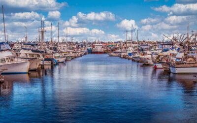 Scenic Seattle Fishermen’s Terminal Boats in Marina