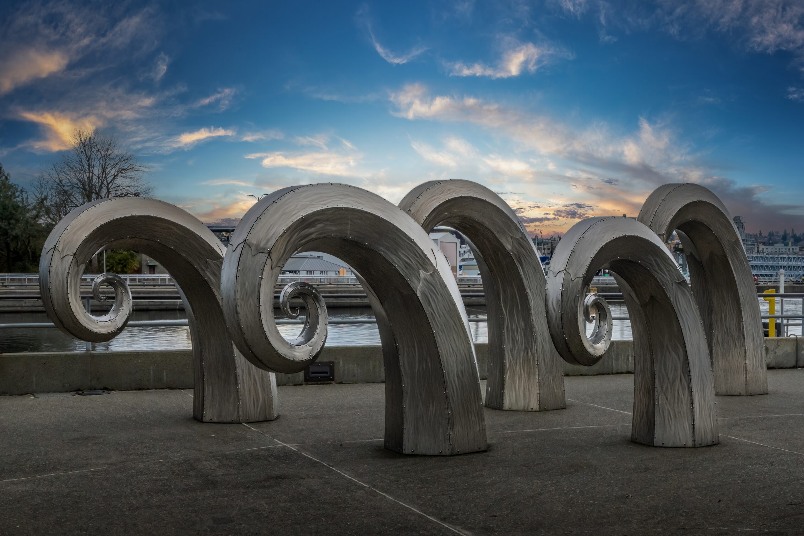 Salmon Waves Public Sculpture Seattle Waterfront Salmon Waves Public Sculpture Seattle Waterfront