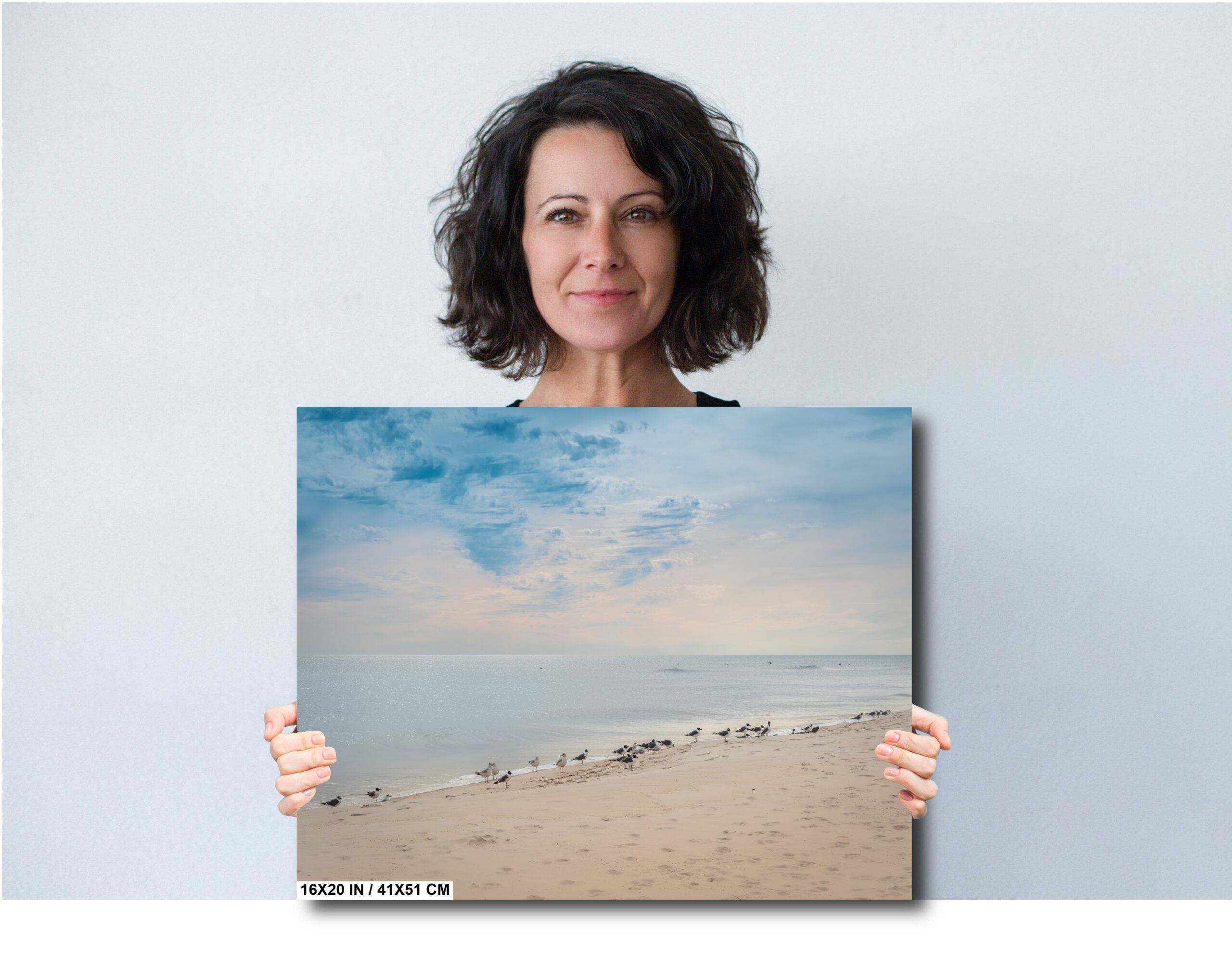 Birds on Perdido Key Beach: Florida Seascape Diagram