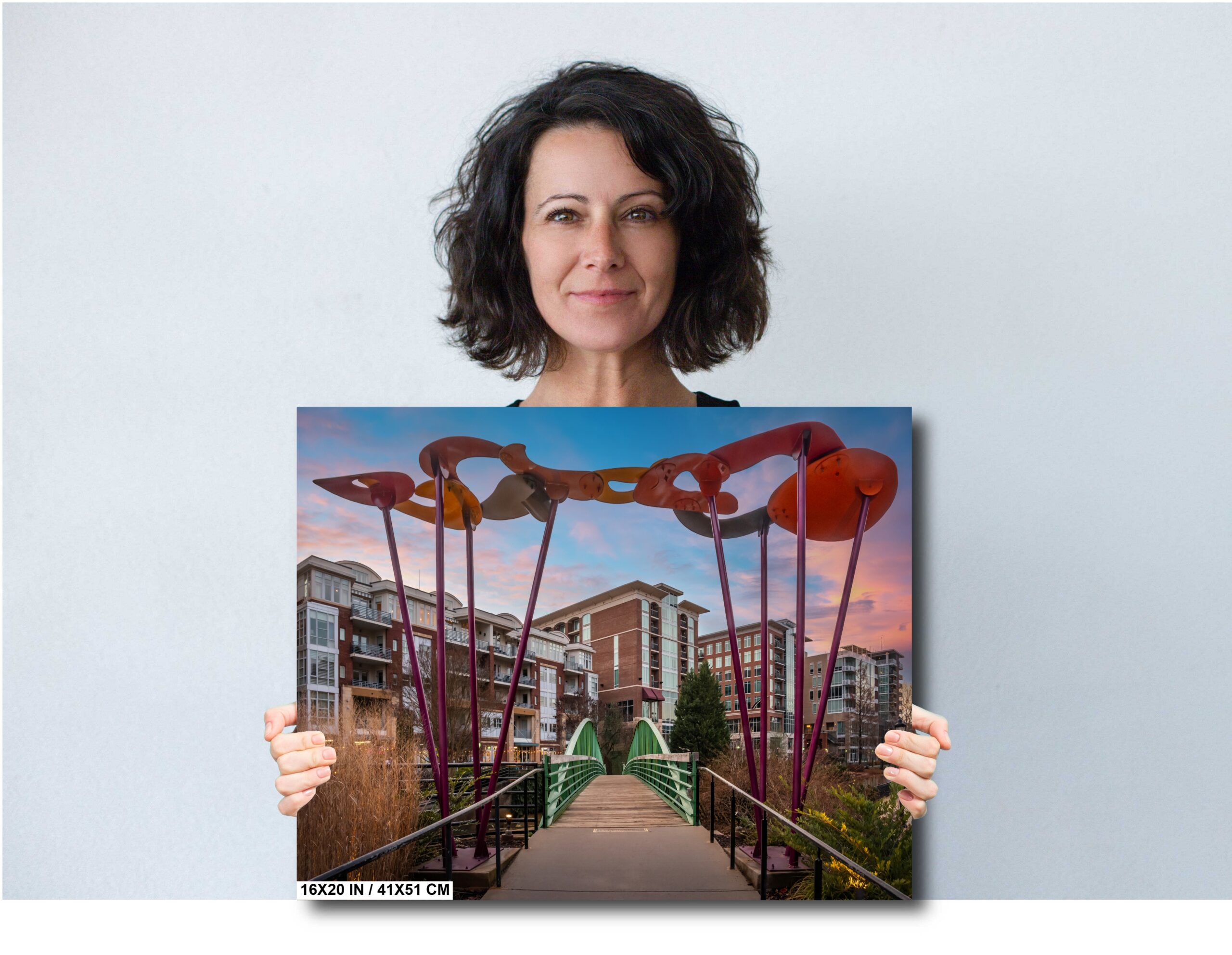 Greenville’s Liberty Pedestrian Bridge: Falls Park Greenville South Carolina Diagram Greenville’s Liberty Pedestrian Bridge: Falls Park Greenville South Carolina Diagram