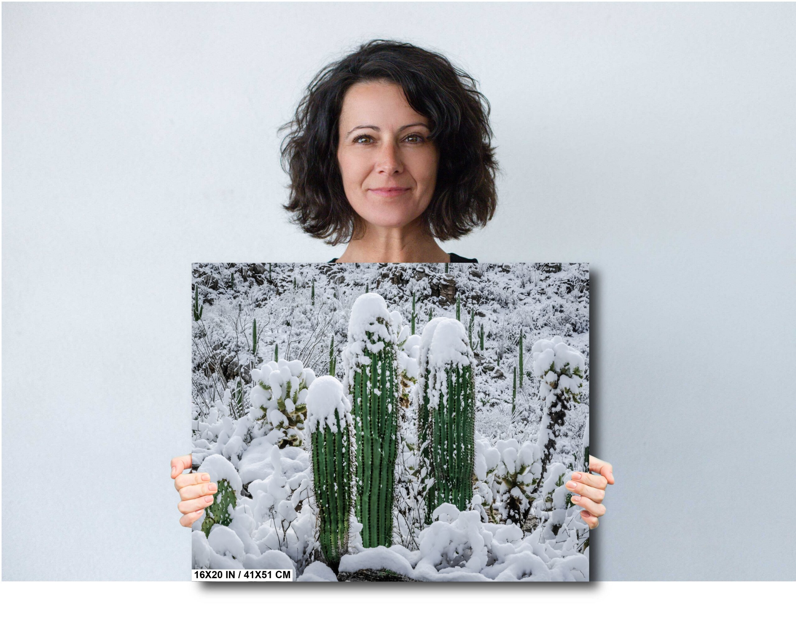 Proud Cactus Soldiers In The Snow: Snow-Capped Saguaros Diagram