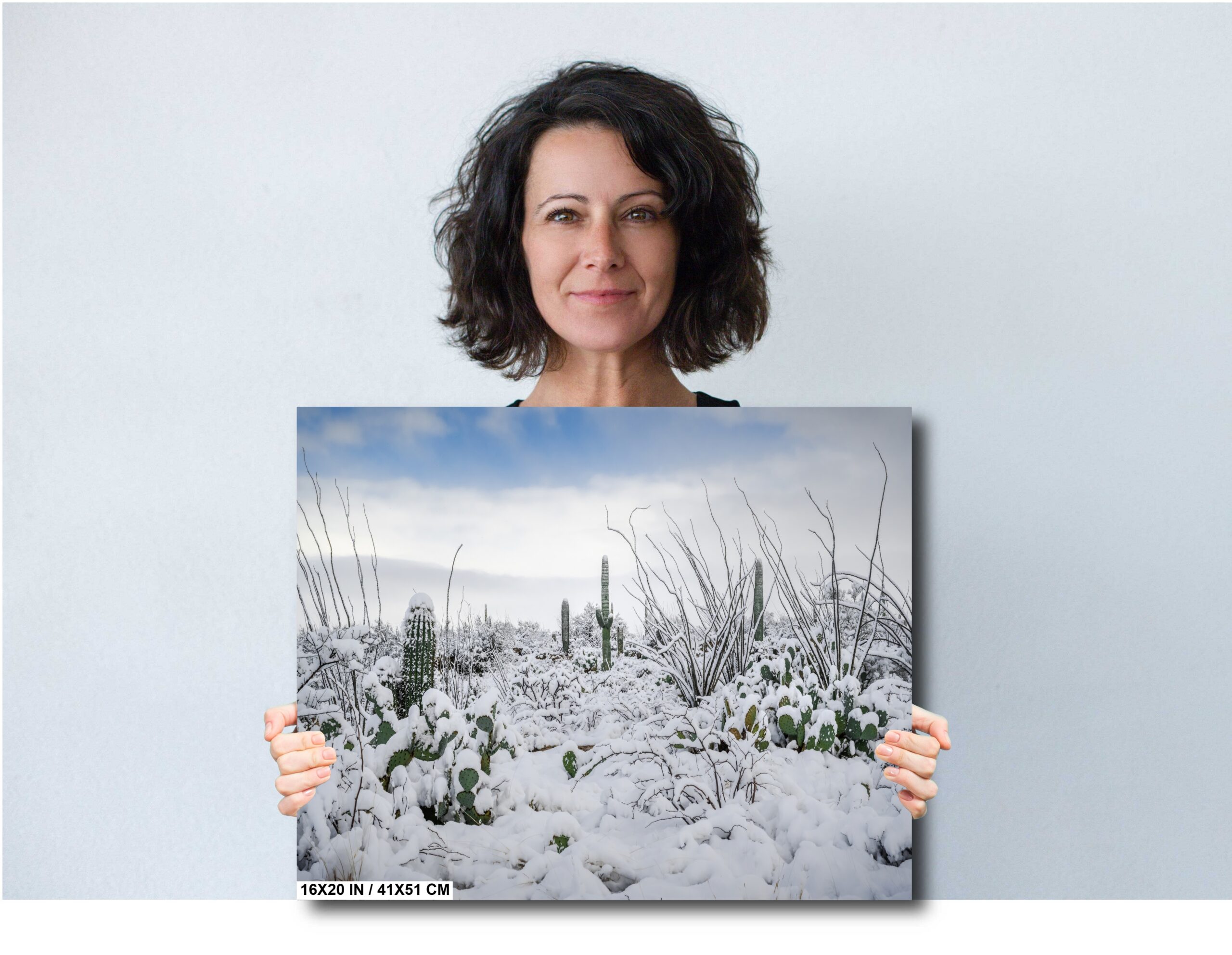 Snow-Tipped Peaks and Cactus Heights Diagram