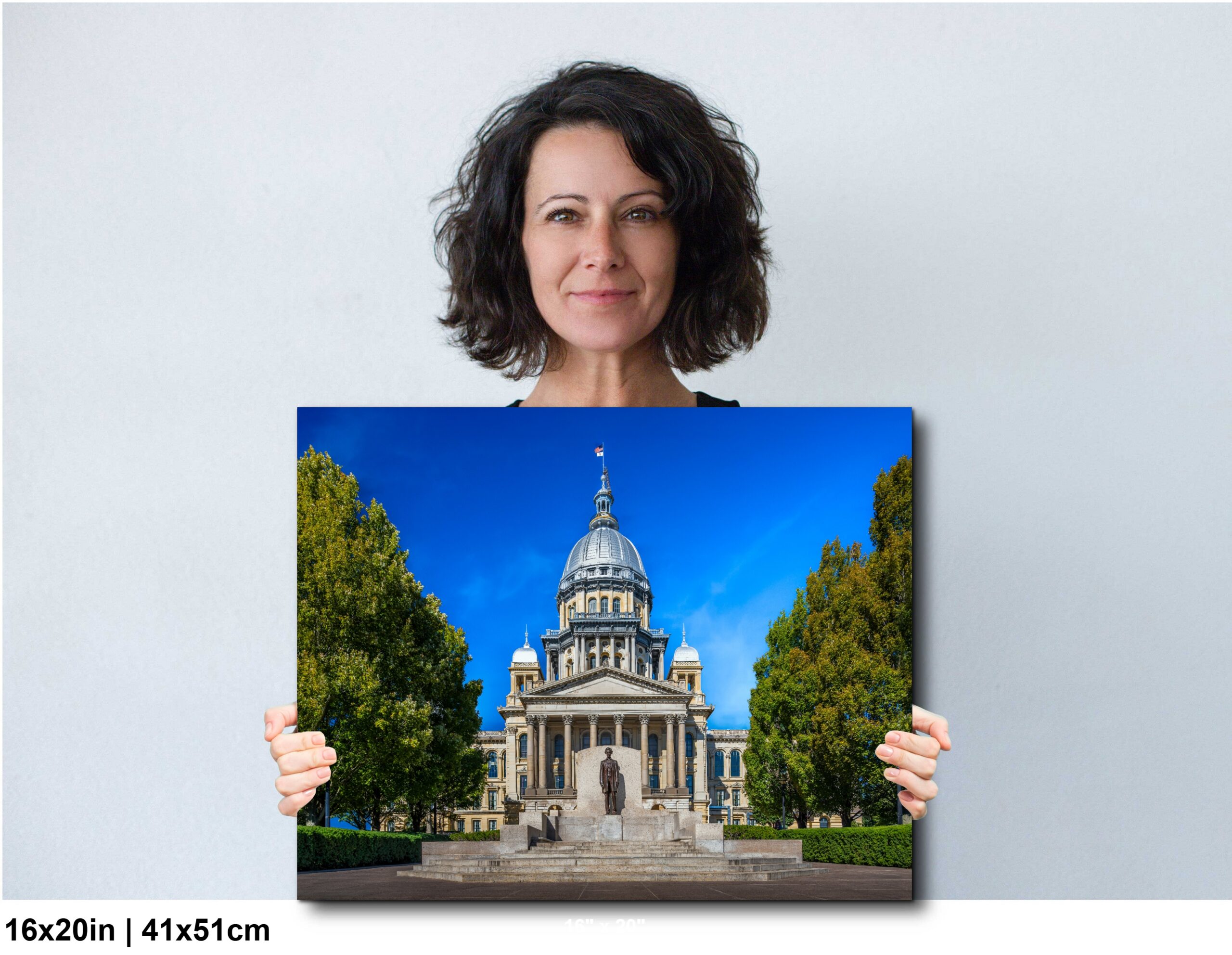 Springfield Illinois State Capitol Dome Photography Print Diagram