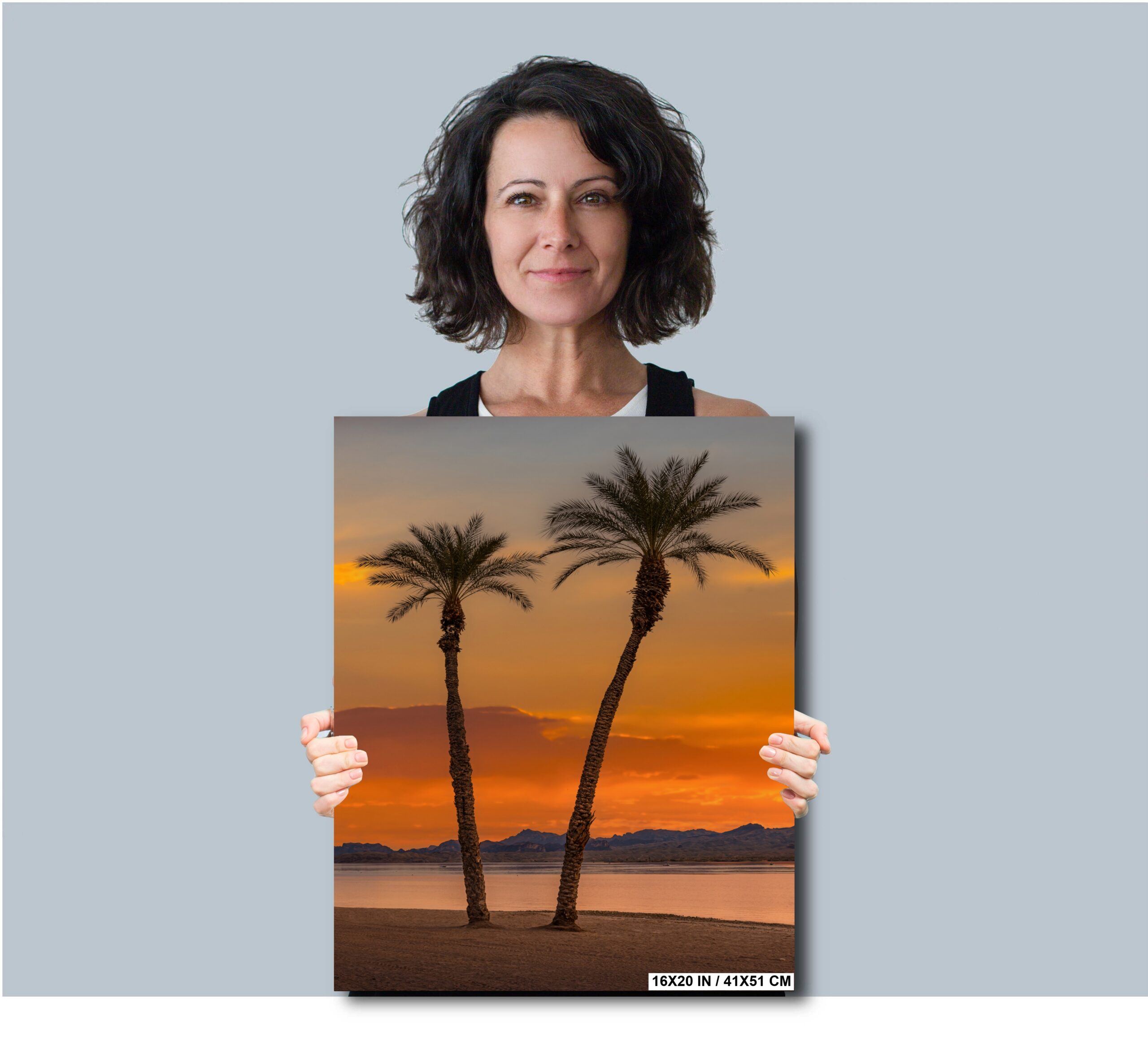 Desert Paradise: Palm Trees in Lake Havasu Wall Art Photography Diagram