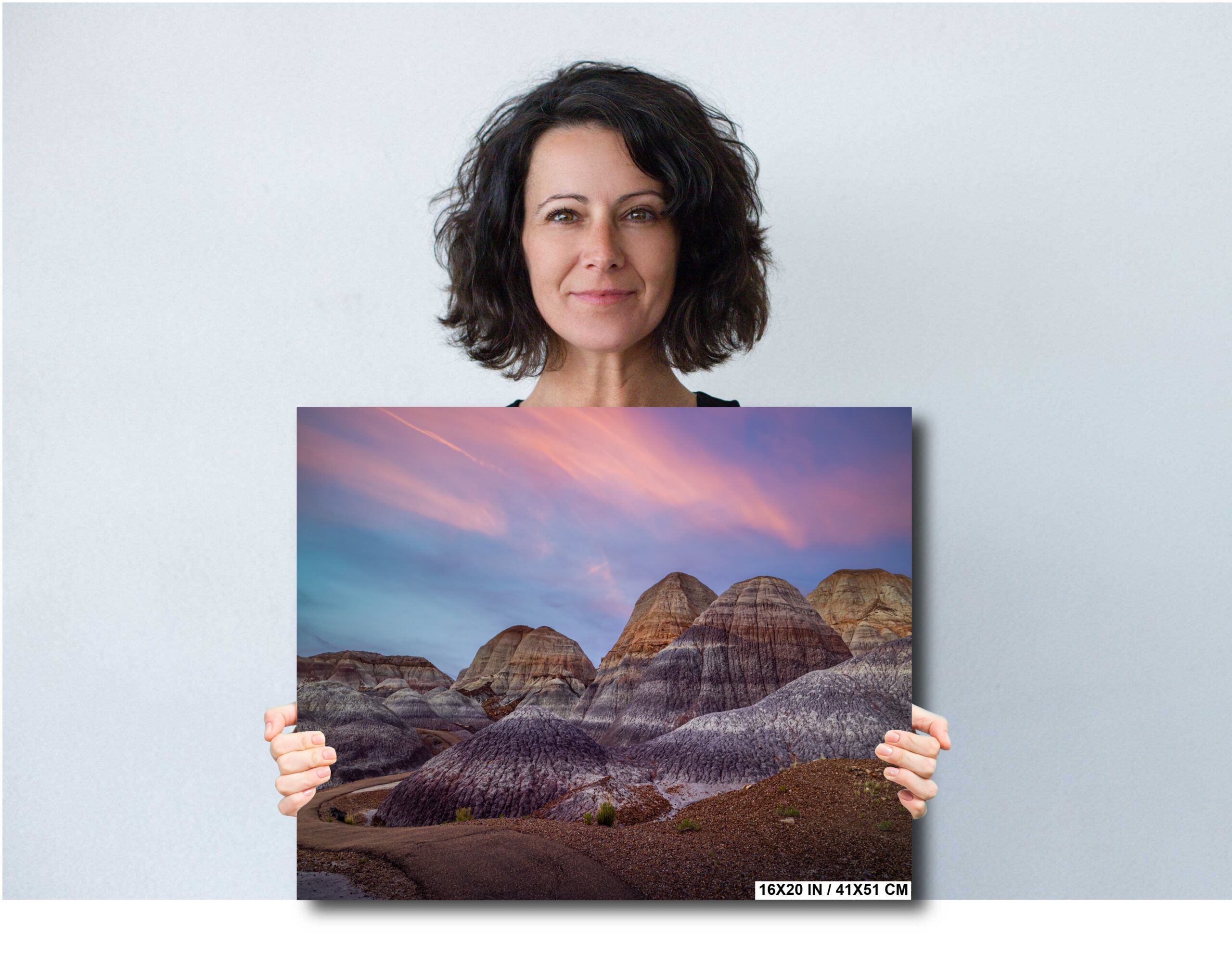 Nature’s Palette: Blue Mesa Desert Hills of Arizona Wall Art Diagram Nature’s Palette: Blue Mesa Desert Hills of Arizona Wall Art Diagram