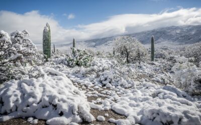 Winter Cloak Over the Saguaro National Park