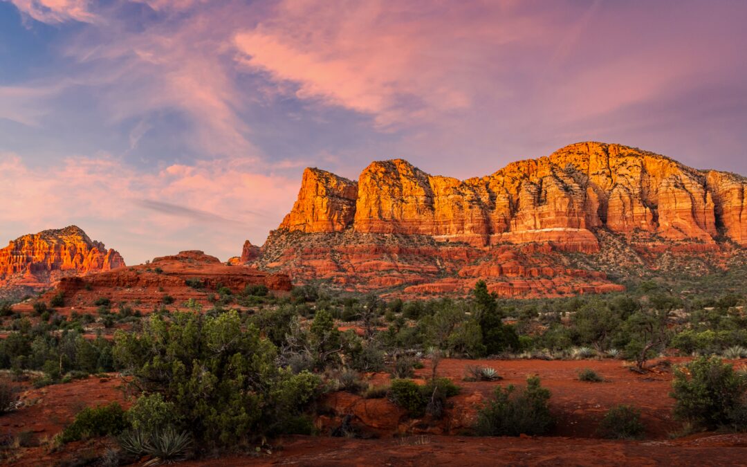 Resilient Red Majesty: Red Rock Crossing Wall Art