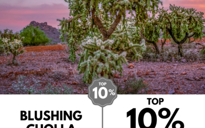 Viewbug.com: Top 10% Most Voted in ‘Travel Captures’ Photo Contest