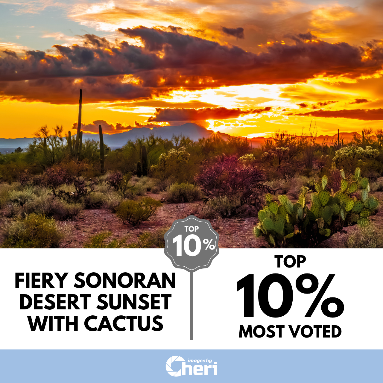 Fiery Sonoran Desert Sunset with Cactus_Travel Captures