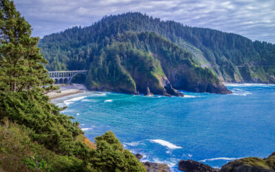 Oregon’s Ocean Edge: Scenic Cape Cove Beach and Cape Creek Bridge