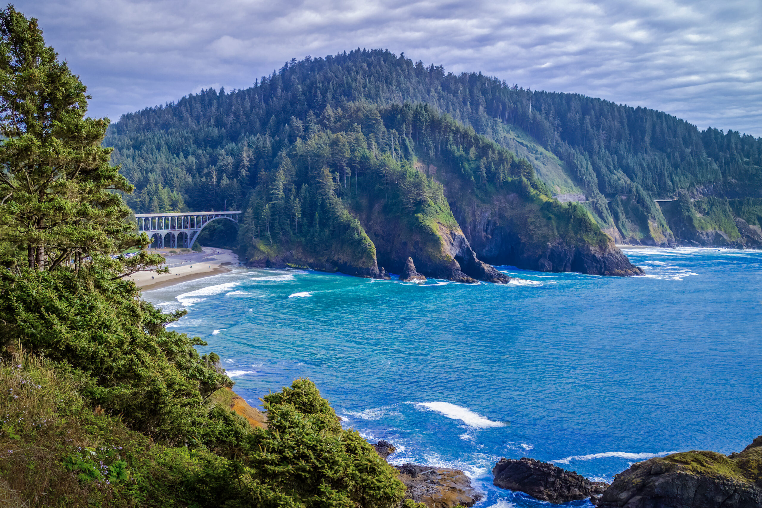 Oregon’s Ocean Edge: Scenic Cape Cove Beach and Cape Creek Bridge