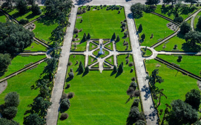 Baton Rouge Capitol Grounds: Observation Tower view from the Capitol