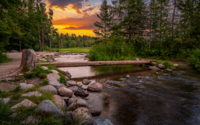 Mississippi Headwaters Footbridge Sunset Lake Itasca State Park  Minnesota