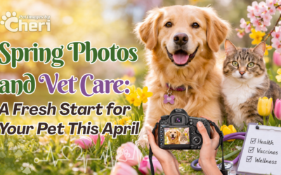 Spring Photos and Vet Care: A Fresh Start for Your Pet This April