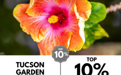 Viewbug.com: Top 10% Most Voted in ‘Floral Fantasies’ Photo Contest