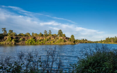 Arizona’s 5 Most Scenic Lake Campgrounds In The White Mountains