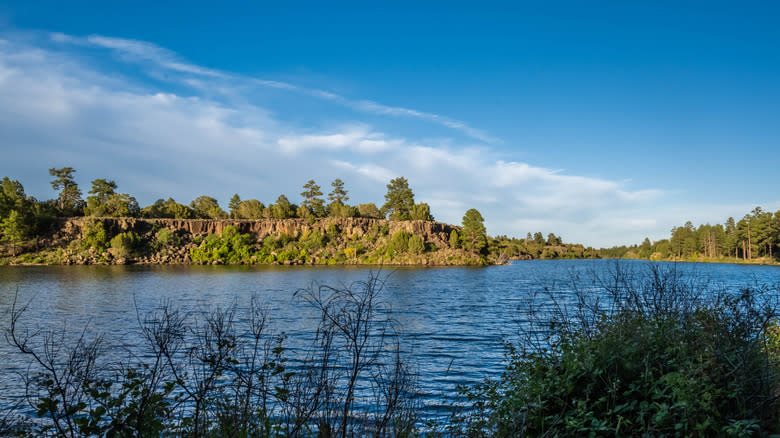 Arizona’s 5 Most Scenic Lake Campgrounds In The White Mountains