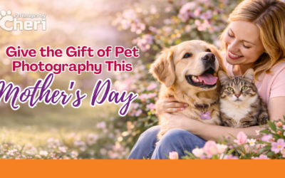 Mother’s Day with Pets: Capturing the Bond Between Moms and Fur Babies