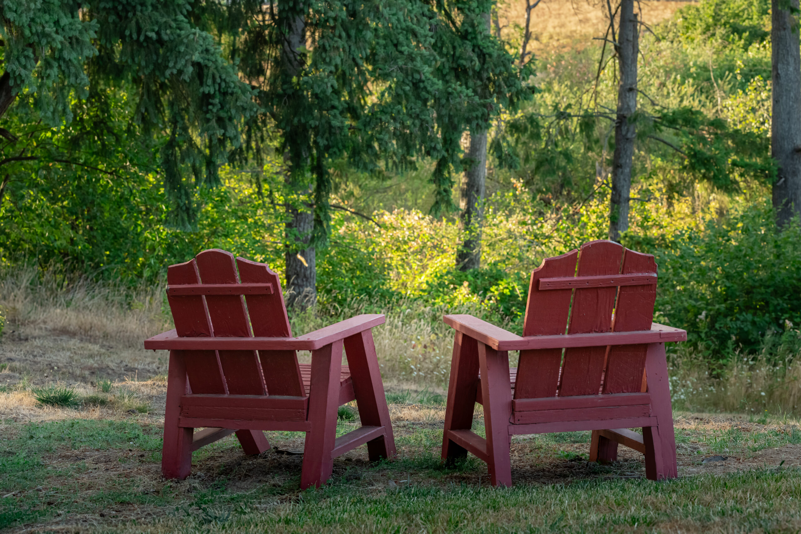 Adirondack Retreat: Adirondack Chairs in the Heart of Portland