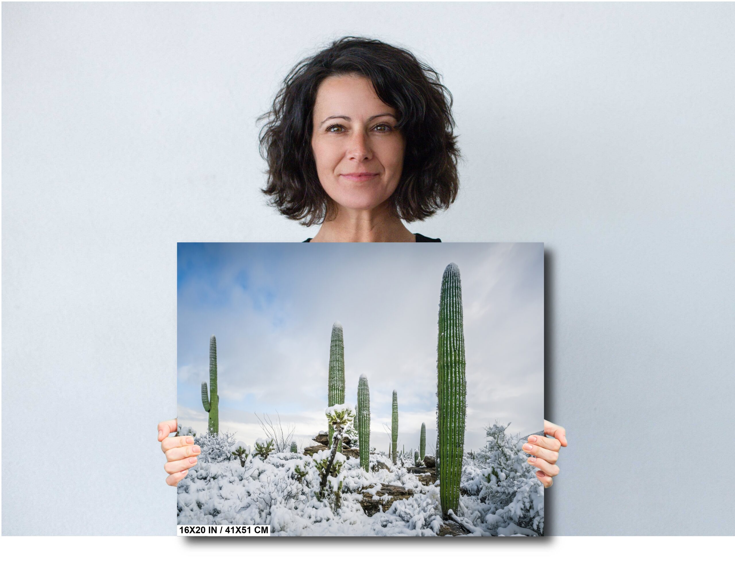 Desert Snowfall: Saguaro National Park Arizona Diagram