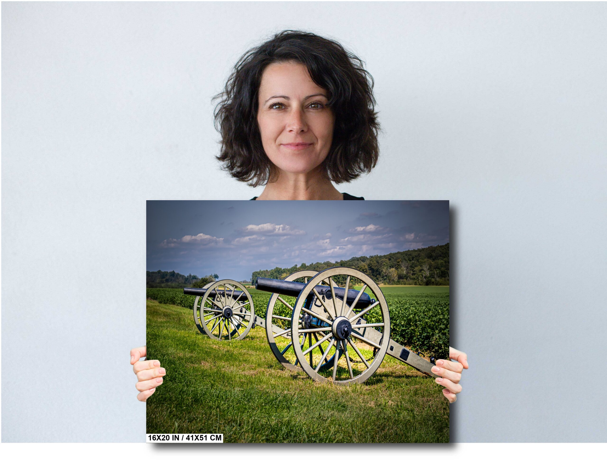 Gettysburg Artillery Cannon: Wall Art 19th Century Old Cannon Diagram