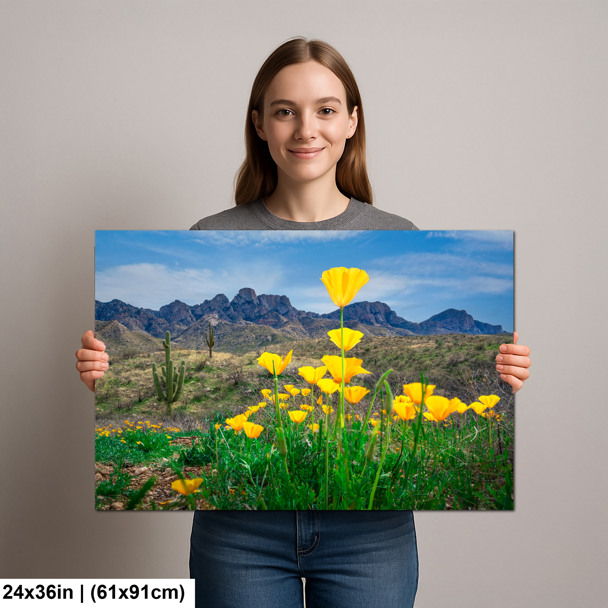 Arizona Poppies in Bloom Diagram Arizona Poppies in Bloom Diagram