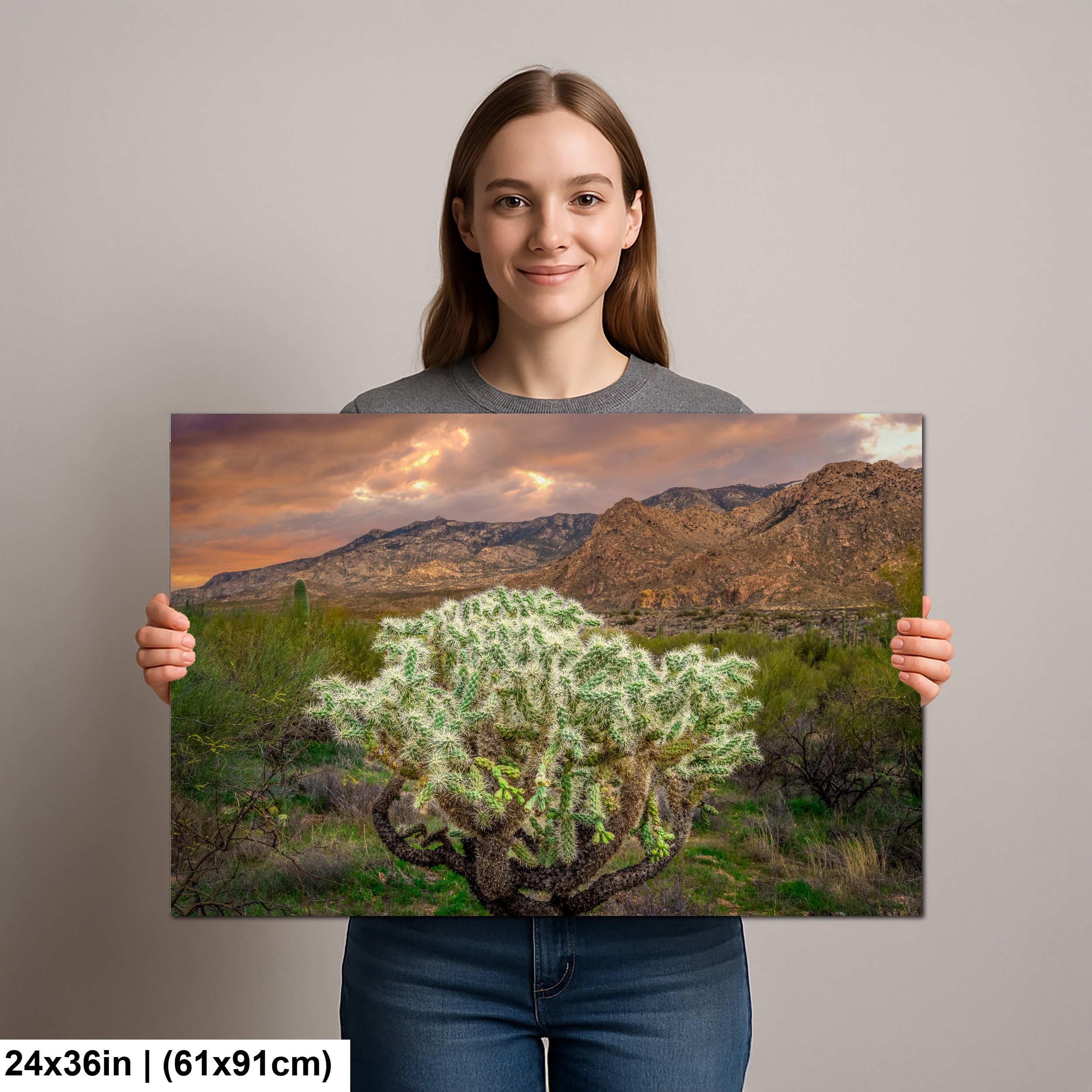 Cholla Cactus at Sunset Sonoran Desert Diagram Cholla Cactus at Sunset Sonoran Desert Diagram