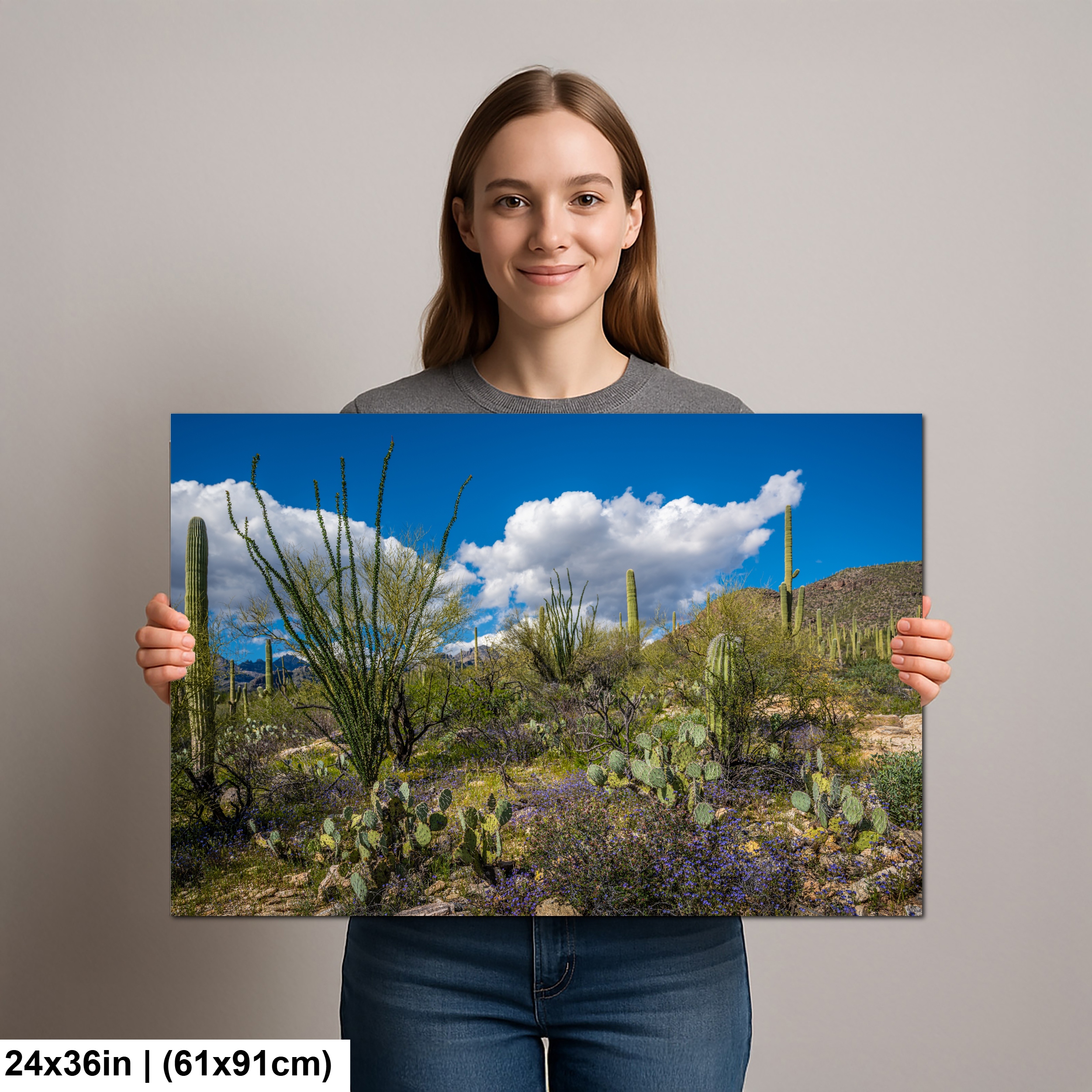 Sonoran Desert Spring Wildflowers with Saguaros Diagram