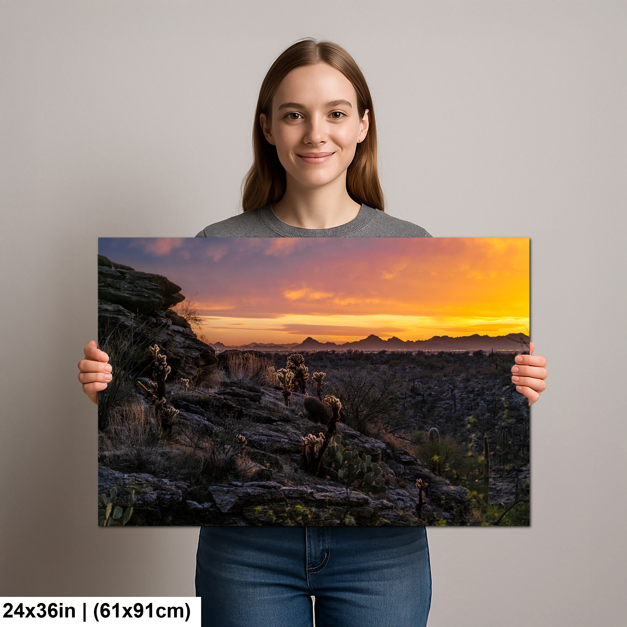 Sonoran Desert Sunset with Cholla and Saguaros Diagram Sonoran Desert Sunset with Cholla and Saguaros Diagram