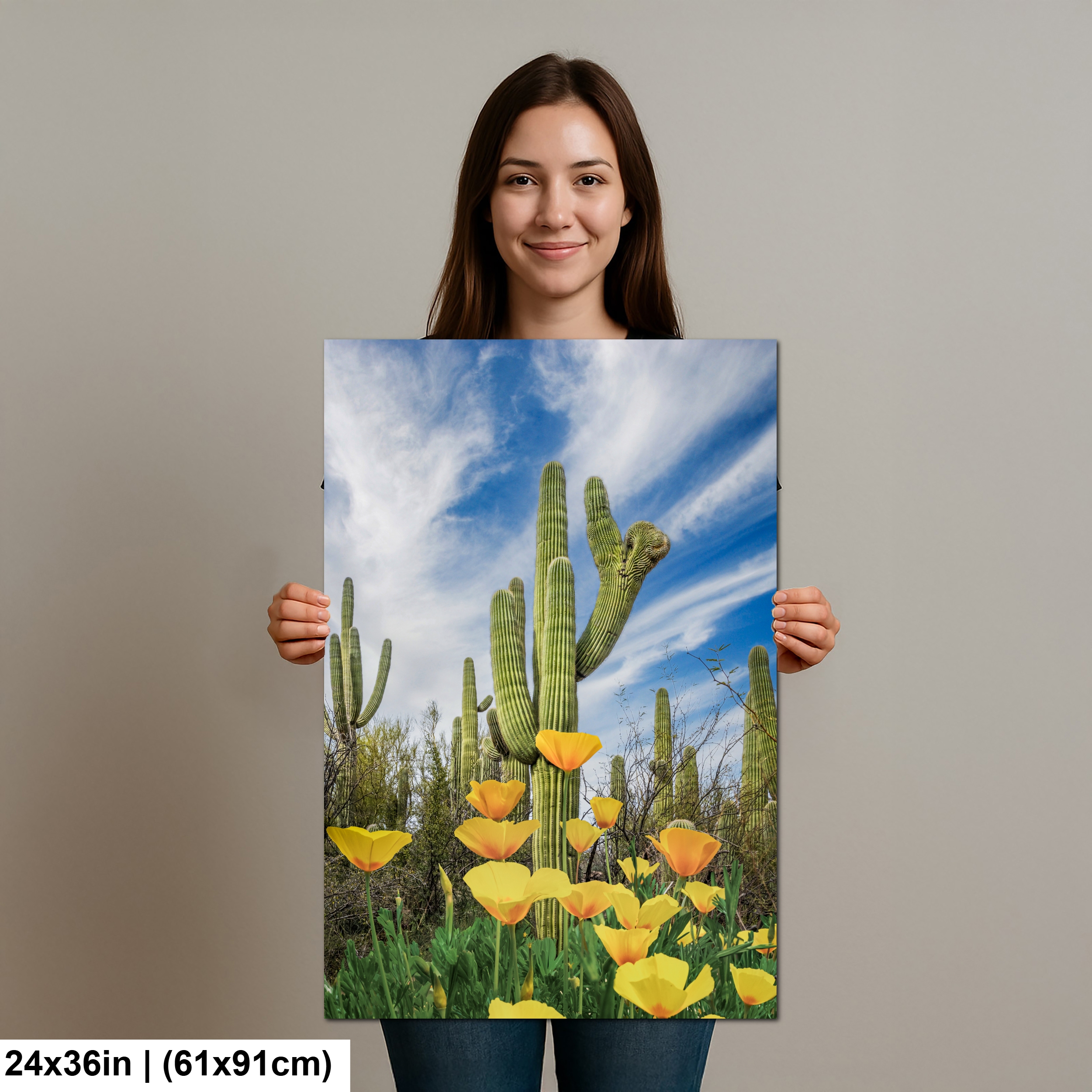 Mexican Gold Poppies Beneath Saguaros Diagram